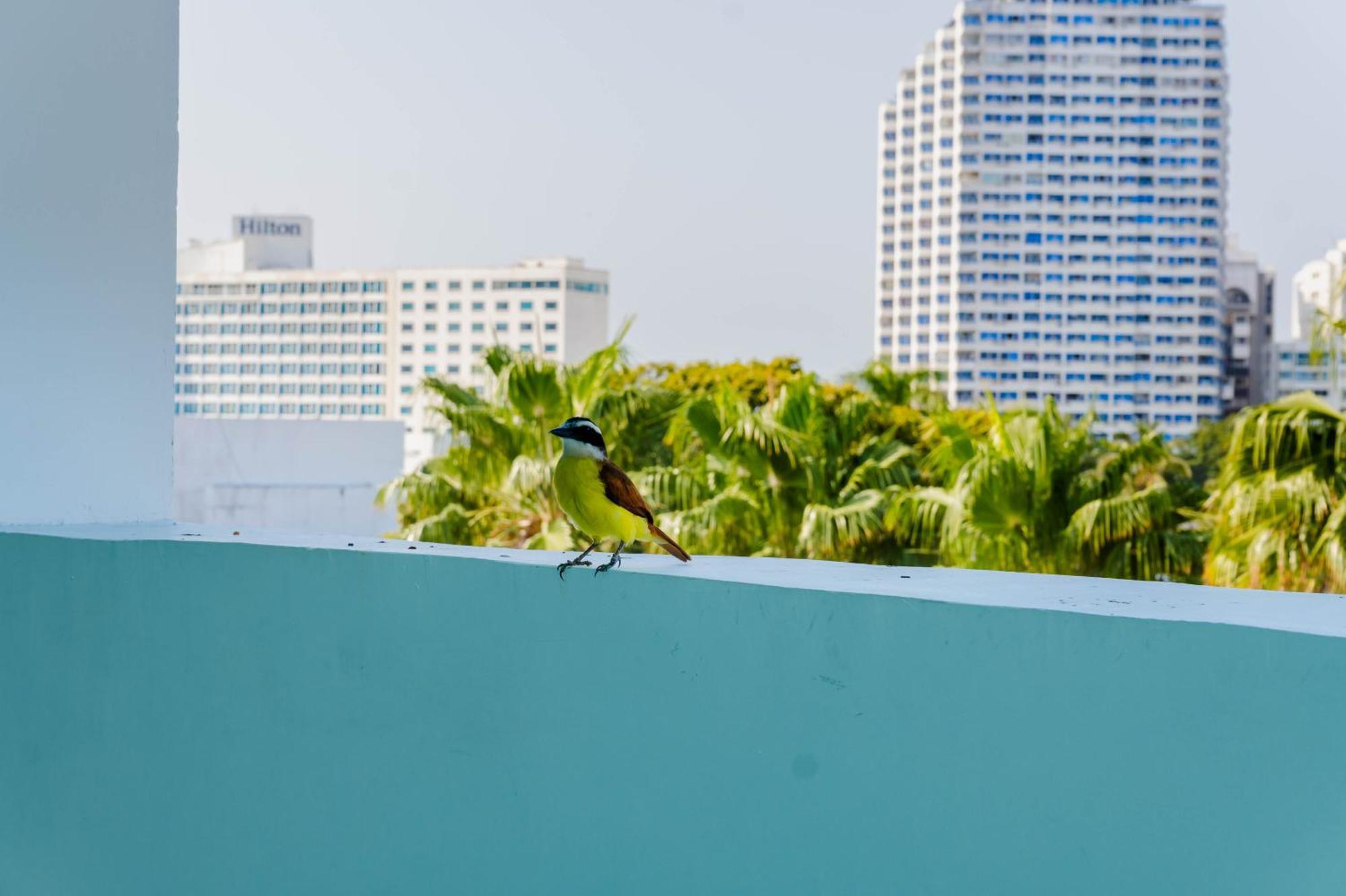 Hotel Coral Reef Cartagena Luaran gambar